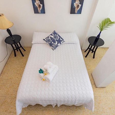 Vieques Tropical Guest House מראה חיצוני תמונה