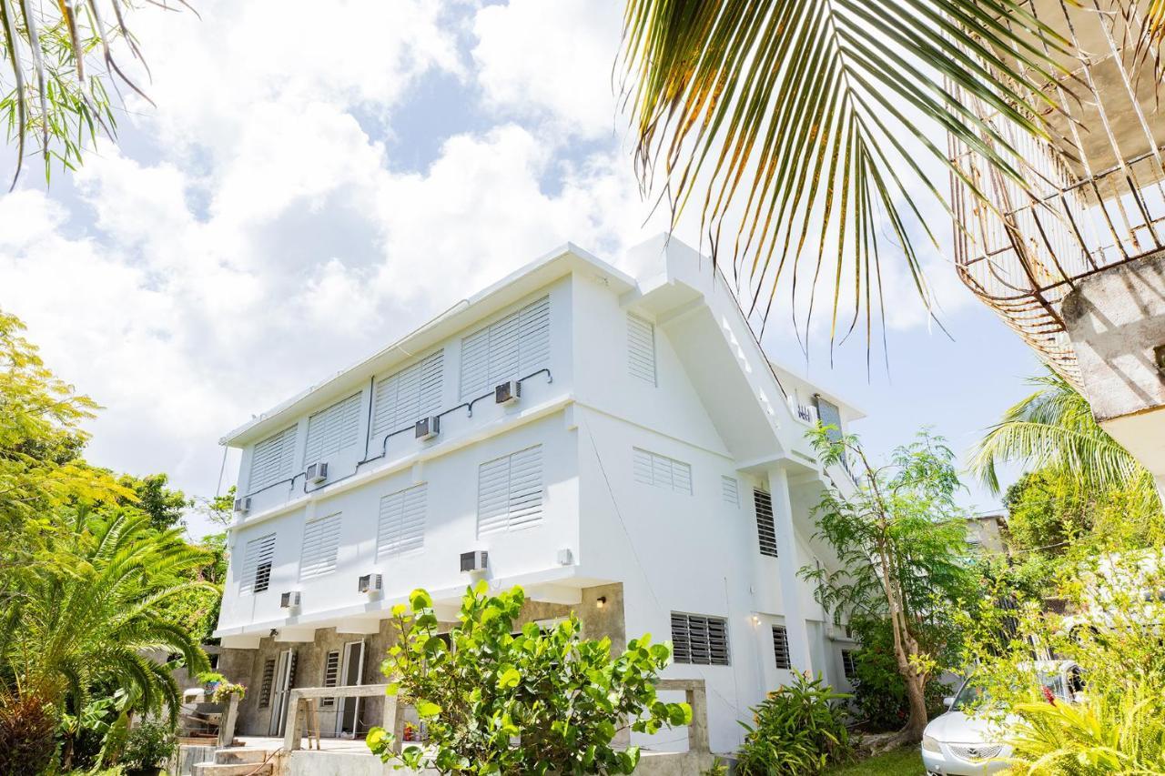 Vieques Tropical Guest House מראה חיצוני תמונה