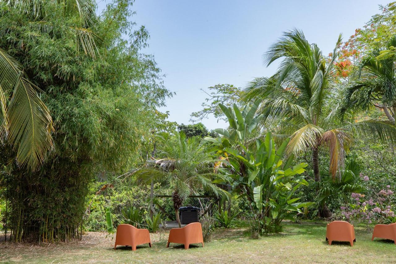 Vieques Tropical Guest House מראה חיצוני תמונה