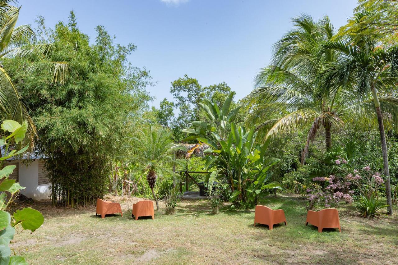 Vieques Tropical Guest House מראה חיצוני תמונה